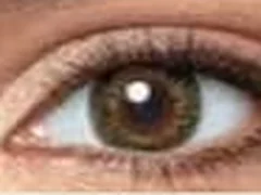 Lente de contacto de color natural Air Optix Colors, tono verde, en un ojo