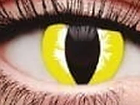 Lente de contacto de color Anyday ZY-048: felino amarillo, en un ojo