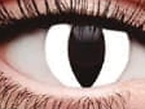 Lente de contacto de color Anyday ZY-050: blanco felino, en un ojo